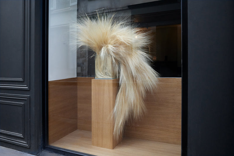 PRECLOTHED DEBEAULIEU