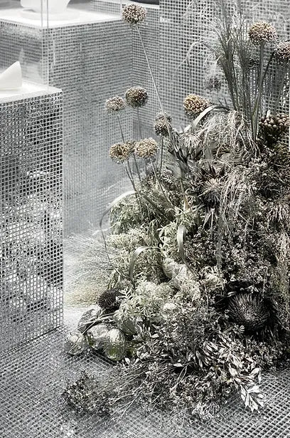 VILLA NOAILLES, HYERES (OCTOBRE 2022) DEBEAULIEU