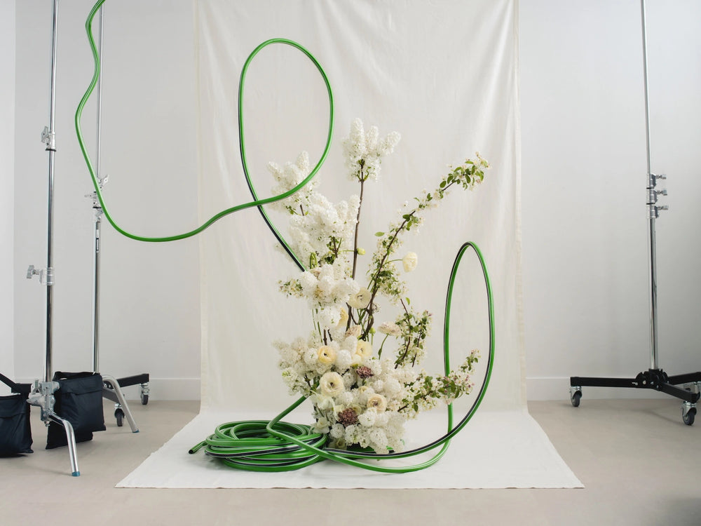 découvrir le studio