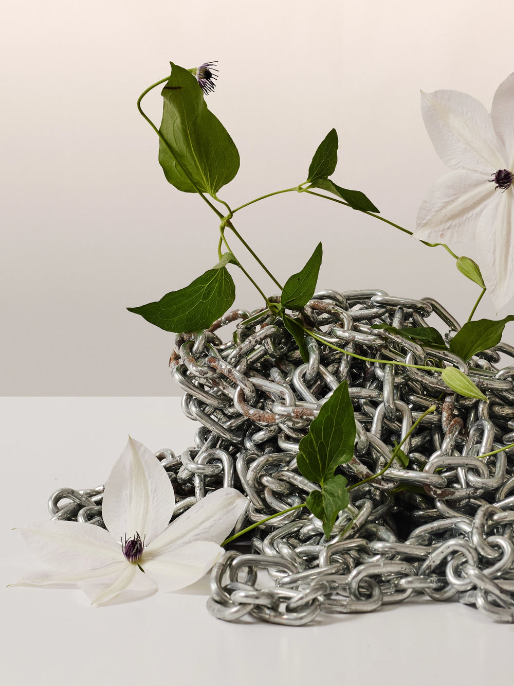 découvrir le studio