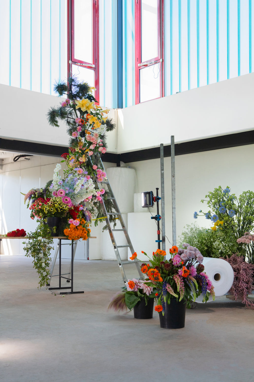 découvrir le studio