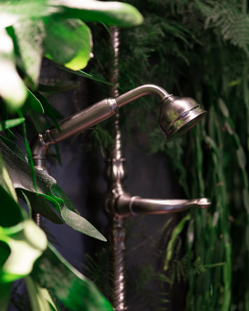 VOLEVATCH DEBEAULIEU