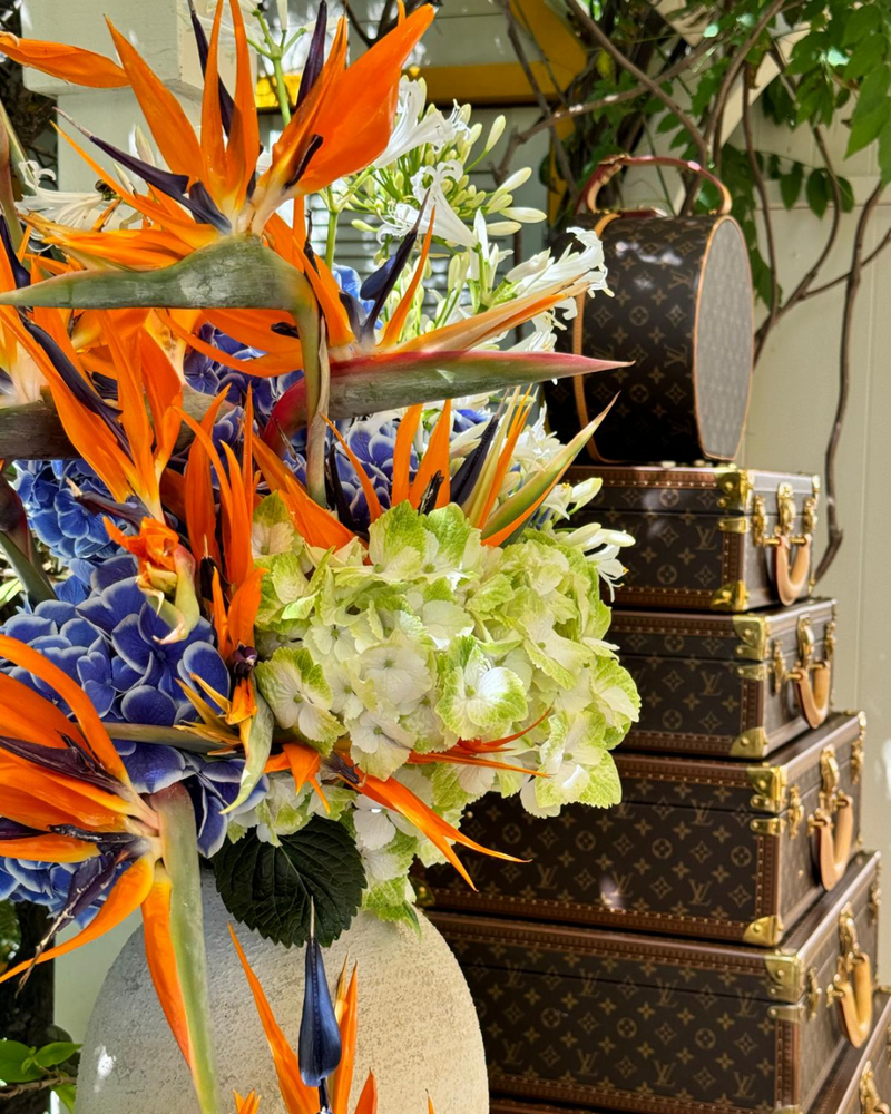 LOUIS-VUITTON DEBEAULIEU