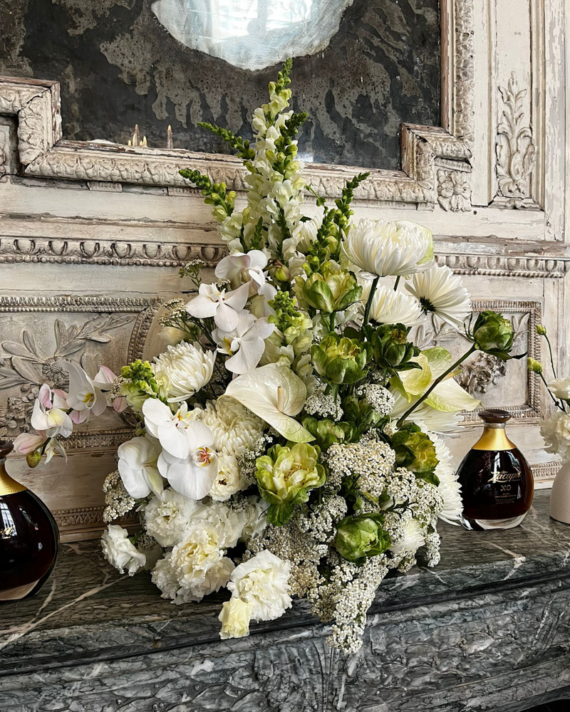 BB-BLANCHE DEBEAULIEU