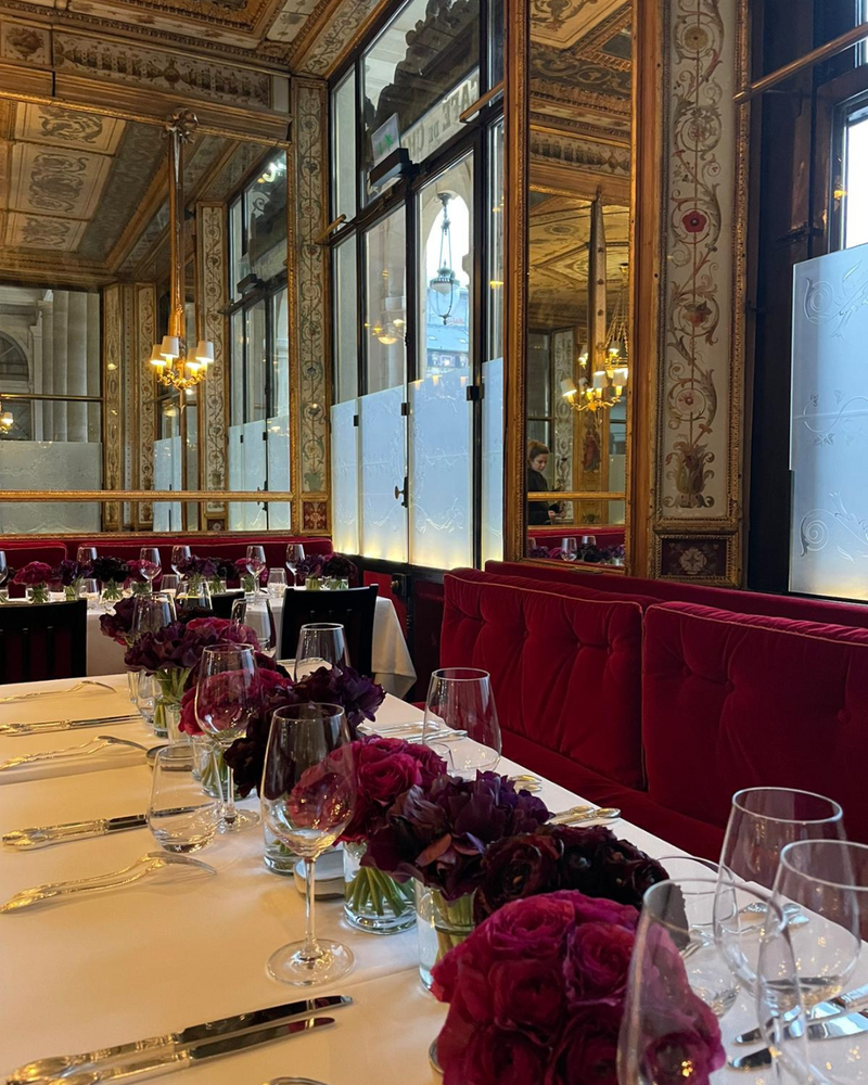 MY-THERESA DEBEAULIEU