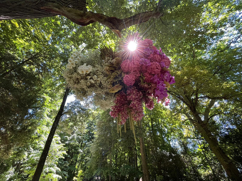 MARIAGE (JUIN 2022) DEBEAULIEU