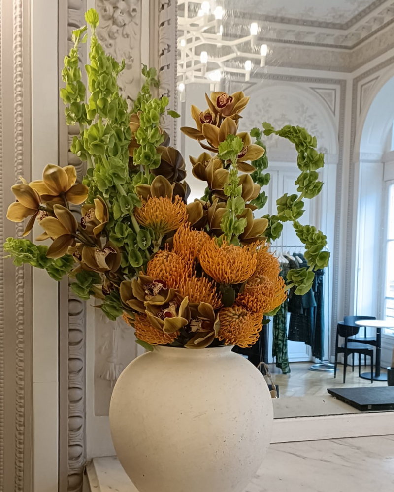 CULT-GAÏA DEBEAULIEU