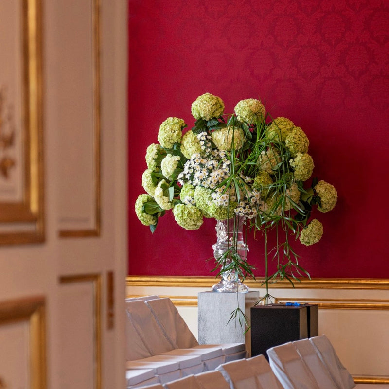 TOM BROWN DEBEAULIEU