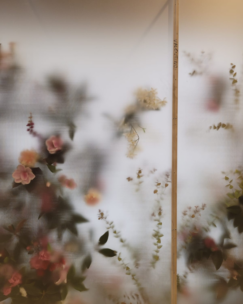 VALENTINO DEBEAULIEU