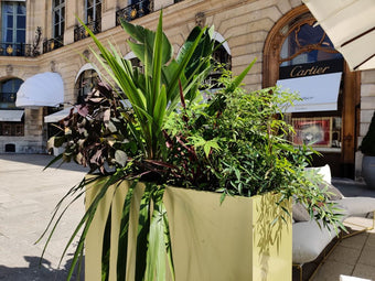 CARTIER (JUILLET 2021) DEBEAULIEU