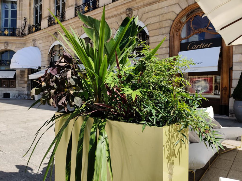 CARTIER (JUILLET 2021) DEBEAULIEU