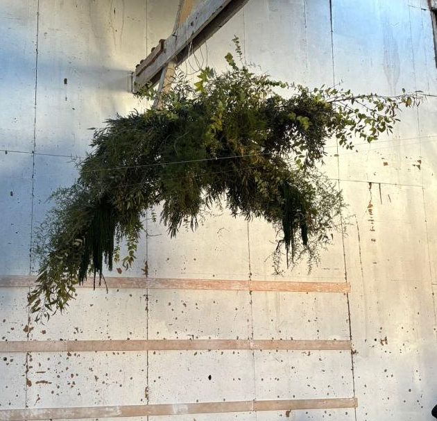 ATELIER RENATA DEBEAULIEU