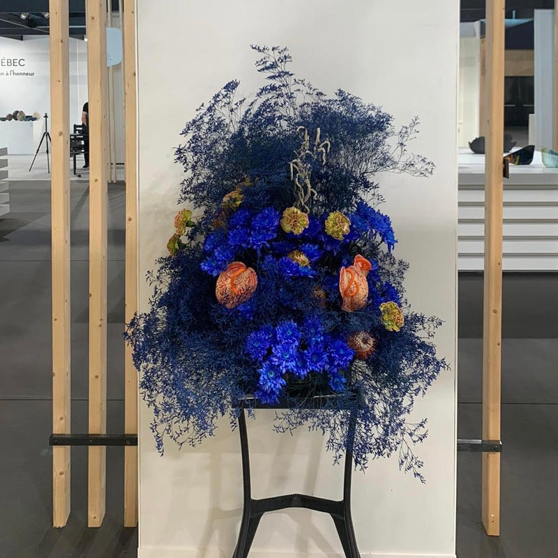 LISON DE CAUMES (JUIN 2023) DEBEAULIEU