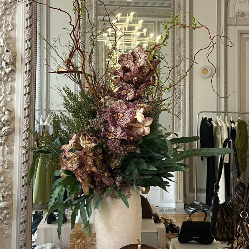 CULT GAÏA DEBEAULIEU