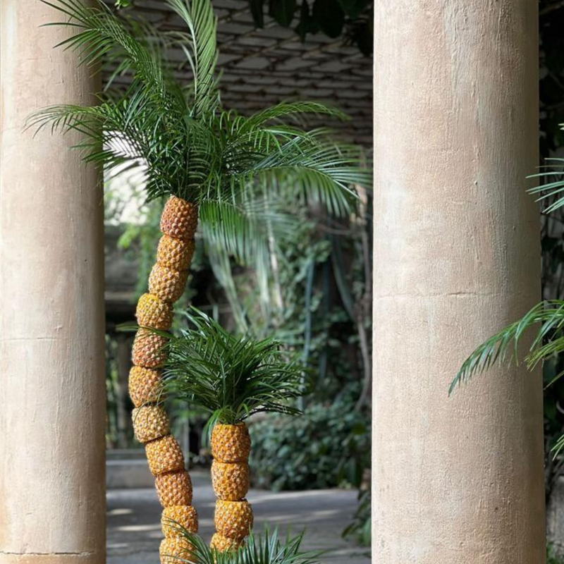 VILLA-NOAILLES-OCTOBRE-2023 DEBEAULIEU