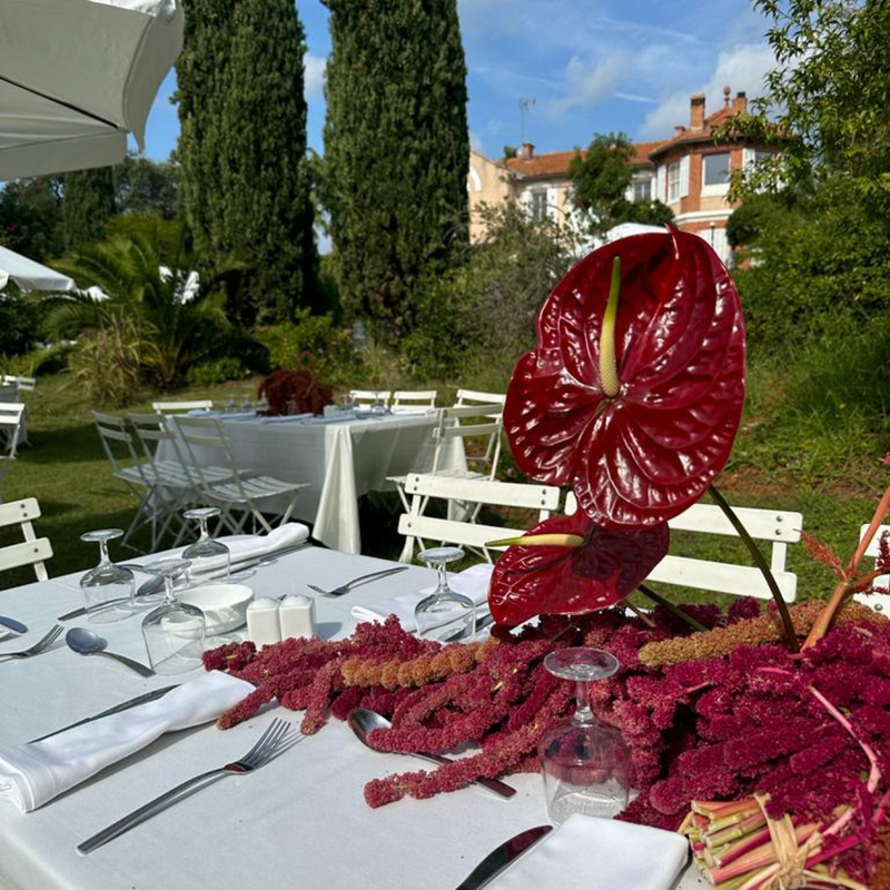 VILLA-NOAILLES-OCTOBRE-2023 DEBEAULIEU