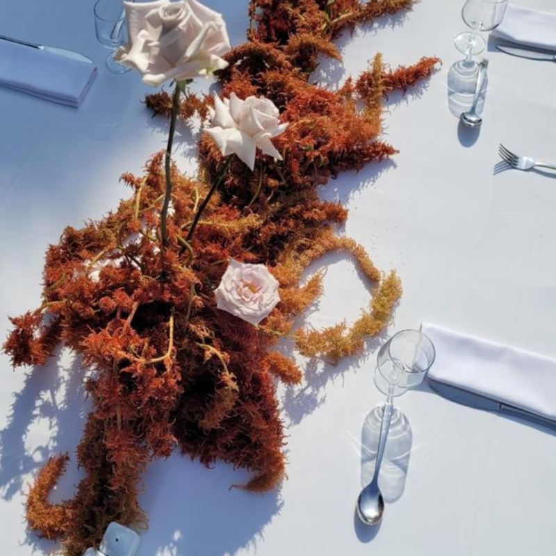 VILLA-NOAILLES-OCTOBRE-2023 DEBEAULIEU