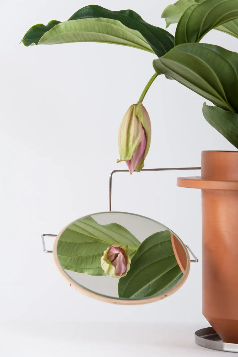 DOSSOFIORITO (2014) DEBEAULIEU