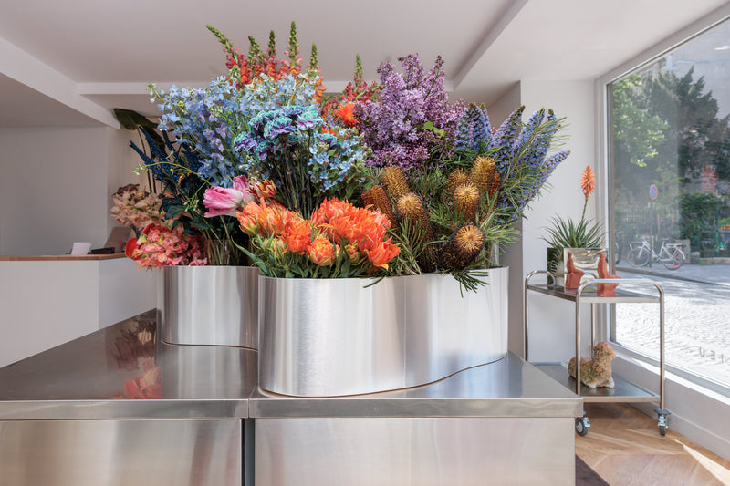 POP UP LA HUNE DEBEAULIEU