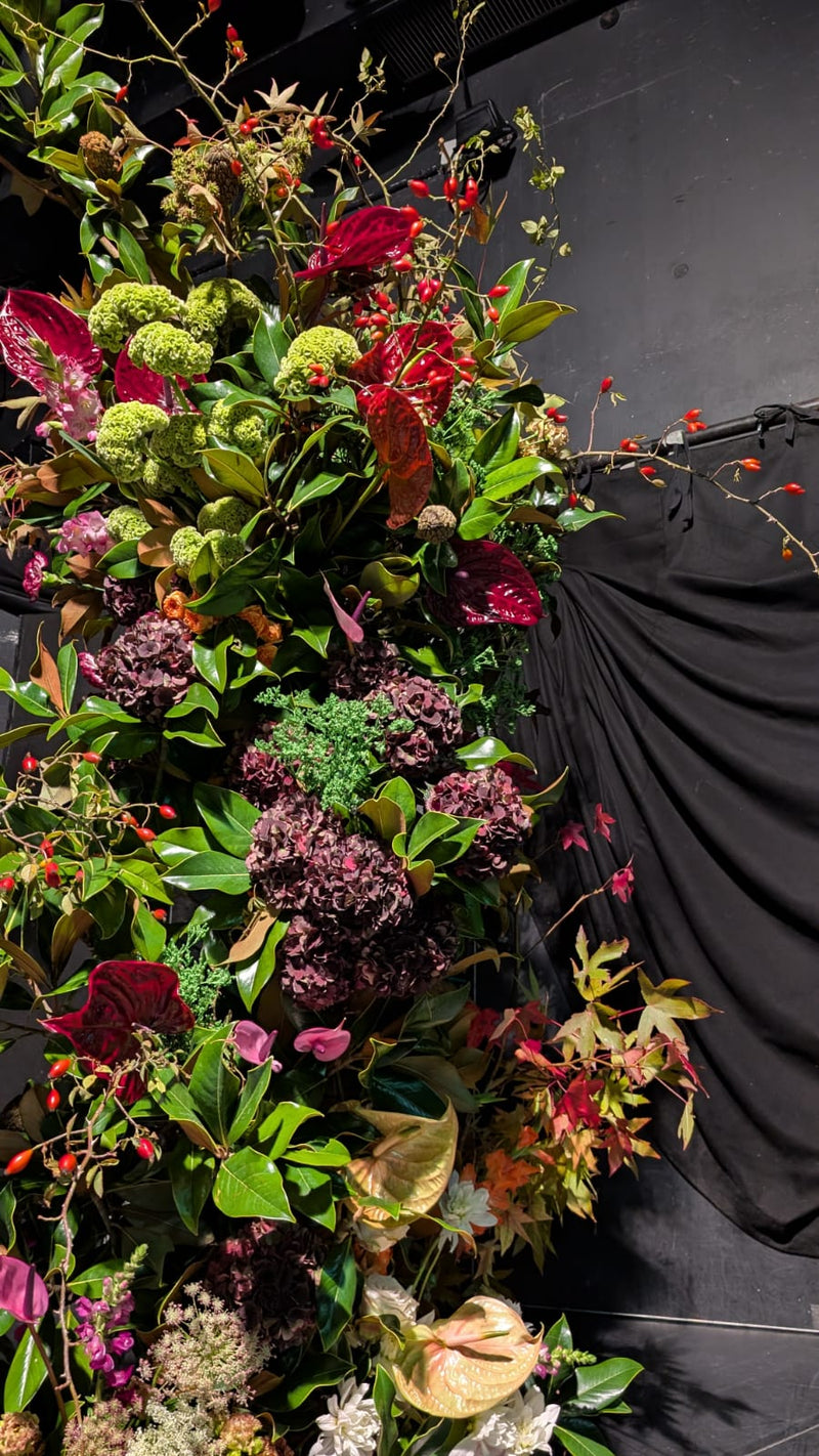 JOHN GLACIER DEBEAULIEU