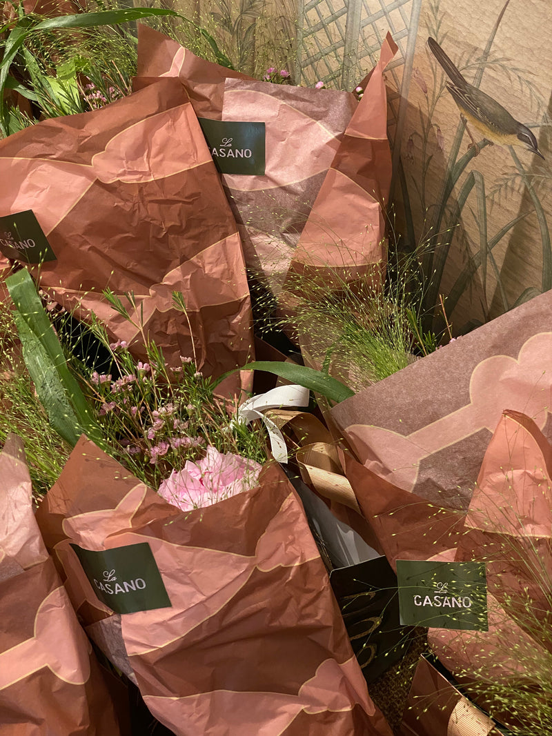 LA CASANO DEBEAULIEU