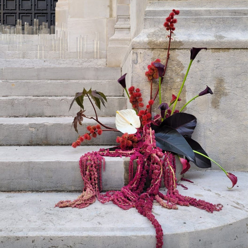 MARIAGE-OCTOBRE-2023 DEBEAULIEU