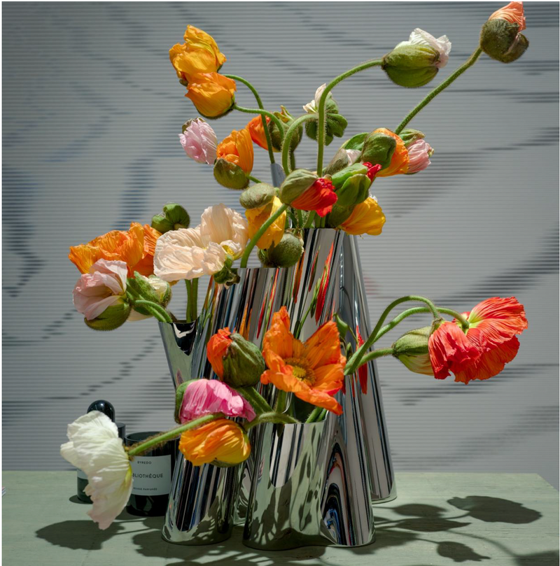 MATTER AND SHAPE DEBEAULIEU