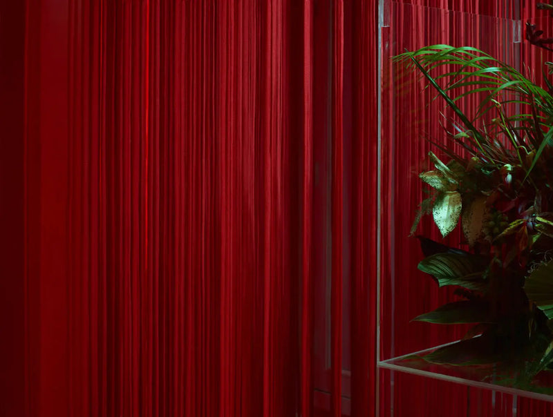 NIKE (Février 2018) DEBEAULIEU