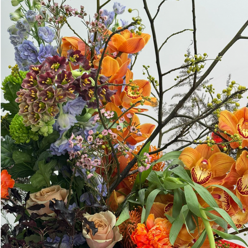 PETIT AMI - MUGLER DEBEAULIEU