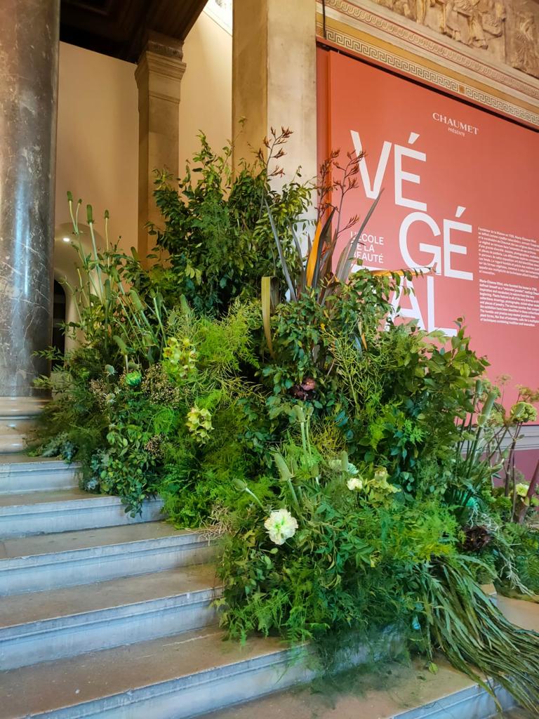 CHAUMET VÉGÉTAL (JUIN 2022) DEBEAULIEU
