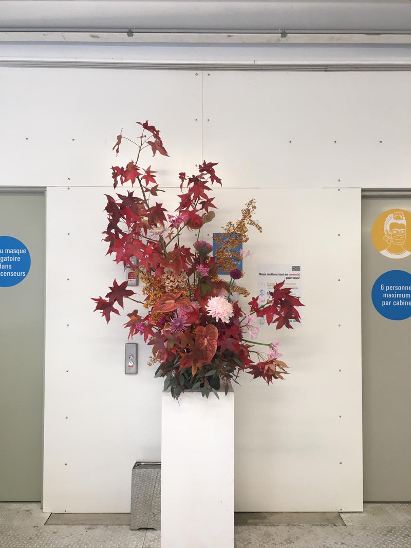 CENTRE POMPIDOU - LES AMIS DU MUSEE (OCTOBRE 2020) DEBEAULIEU