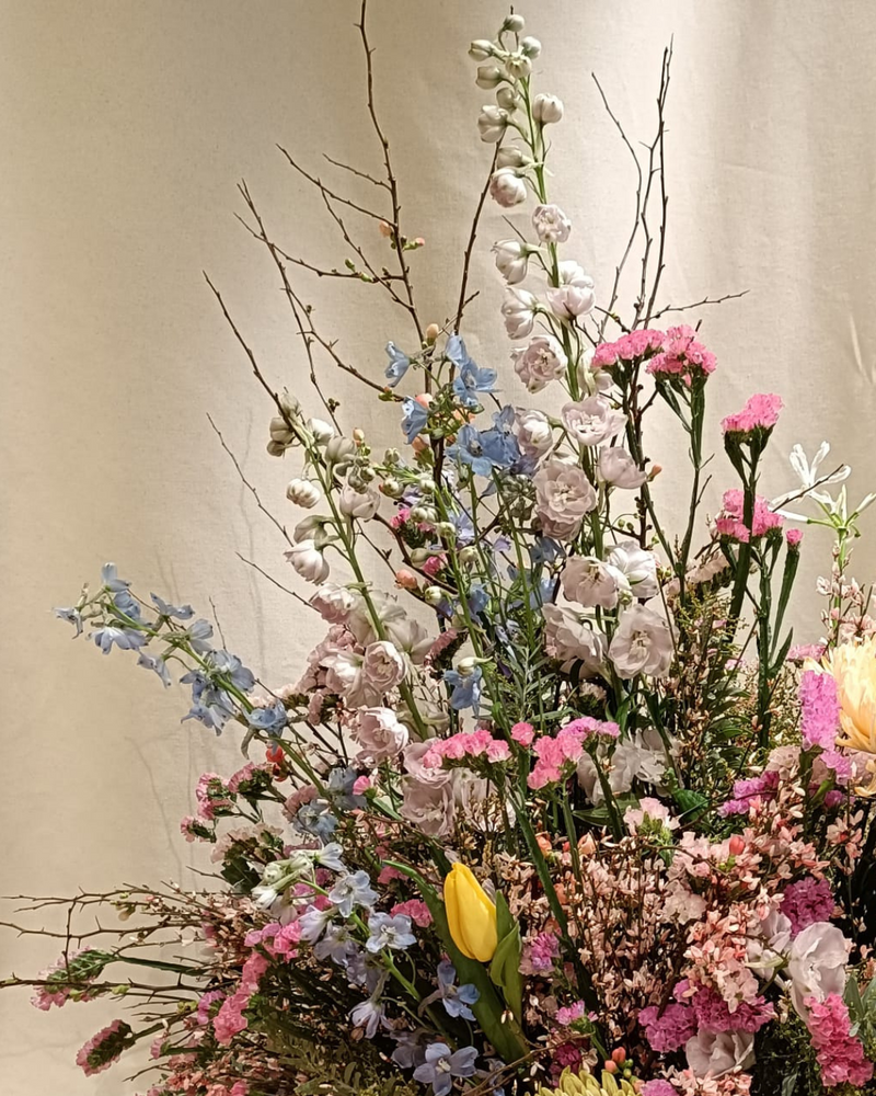 SPARKLING-PRESSE DEBEAULIEU