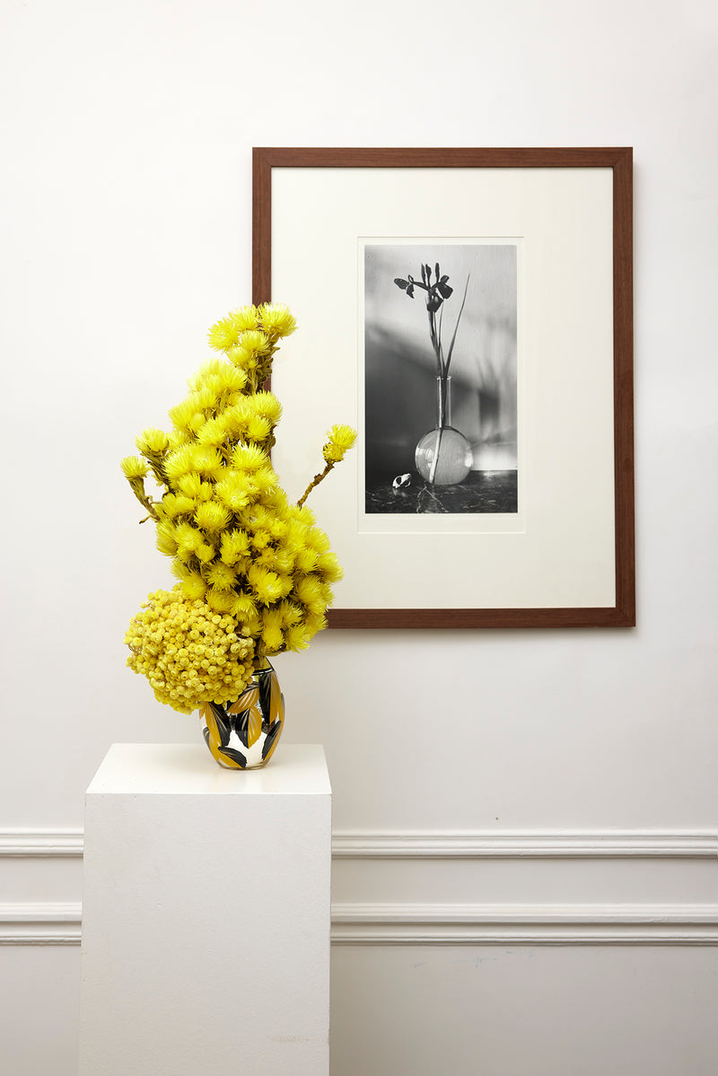 Jean-Pierre Sudre x Debeaulieu (JUIN 2022) DEBEAULIEU