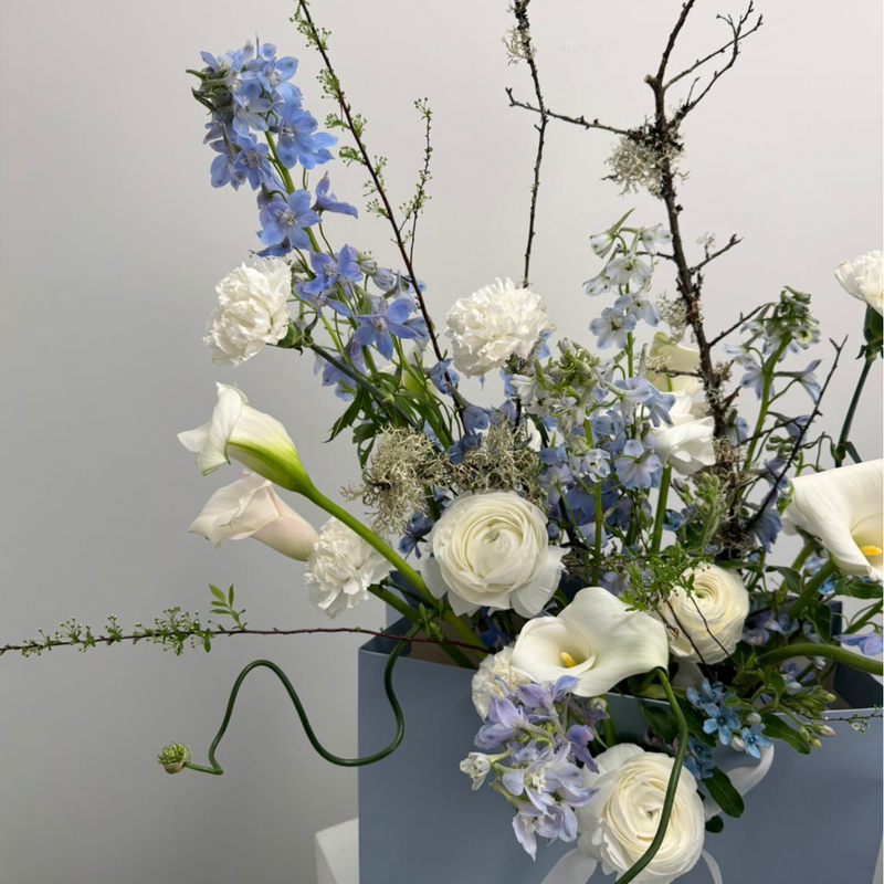 THE VINTAGE PROJECT DEBEAULIEU