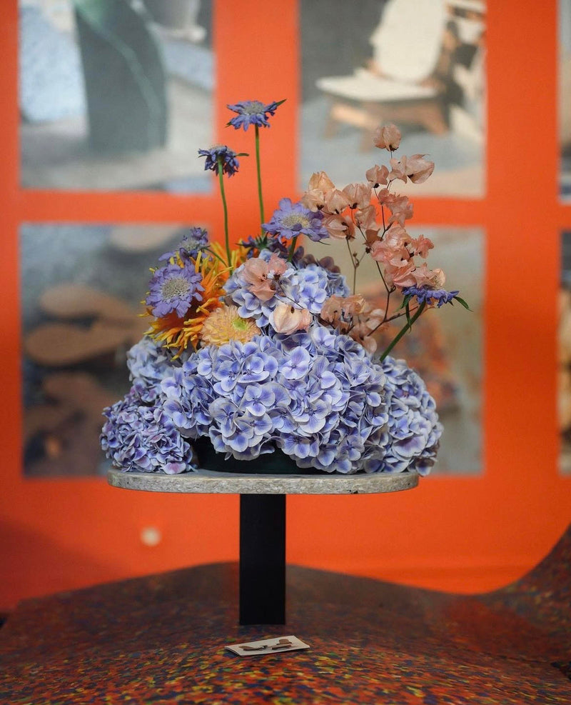 VILLA NOAILLE (JUIN 2023) DEBEAULIEU