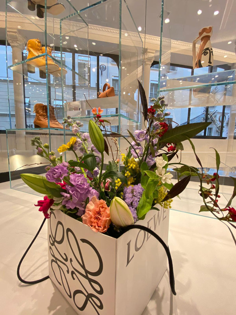 LOEWE (DECEMBRE 2020) DEBEAULIEU