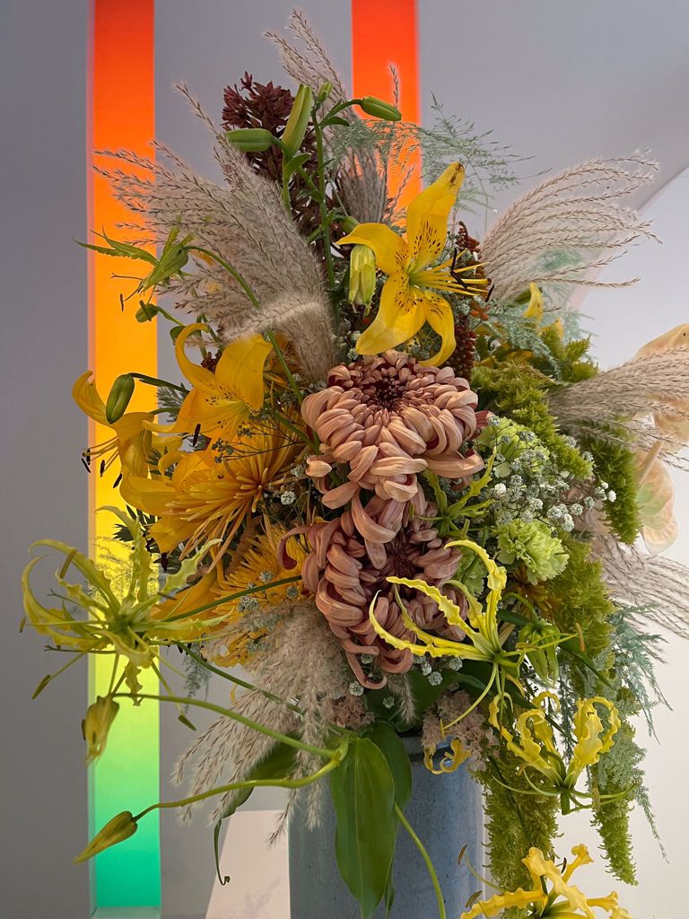 AGENCE ZED (OCOTBRE 2021) DEBEAULIEU