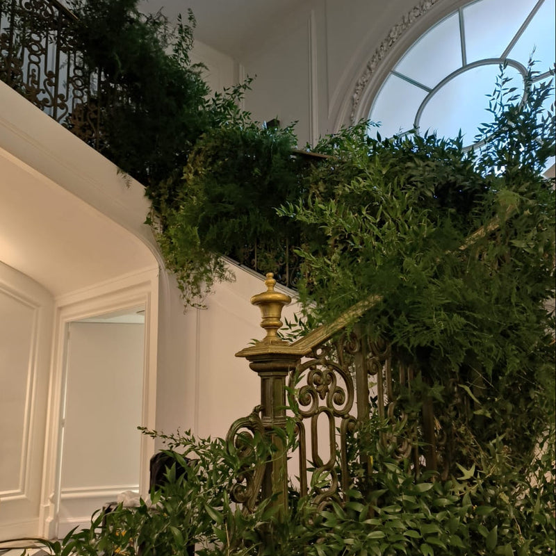 PASQUALE BRUNI DEBEAULIEU