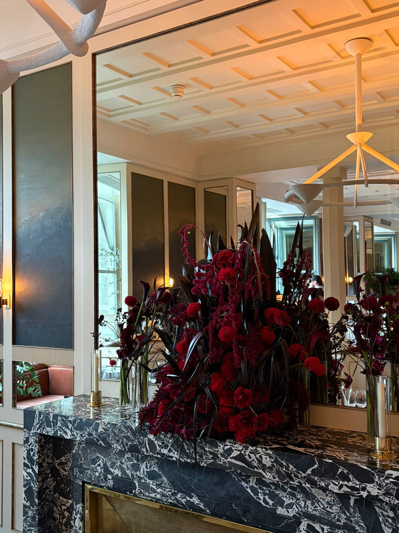 KISMET BY MILKA DEBEAULIEU