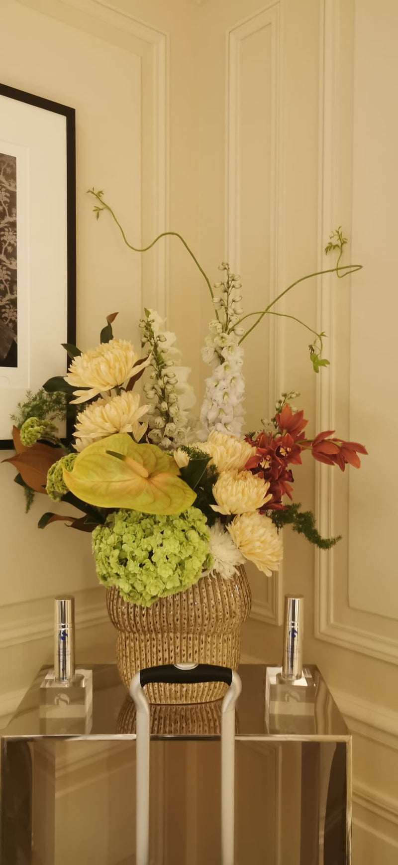 HOLLOWAY SKINCARE DEBEAULIEU