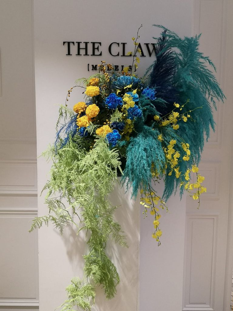 THE CLAW MODELS (SEPTEMBRE 2021) DEBEAULIEU