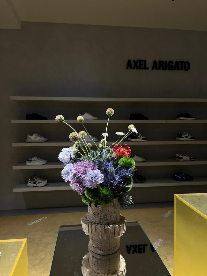 AXEL ARIGATO (JUIN 2023) DEBEAULIEU