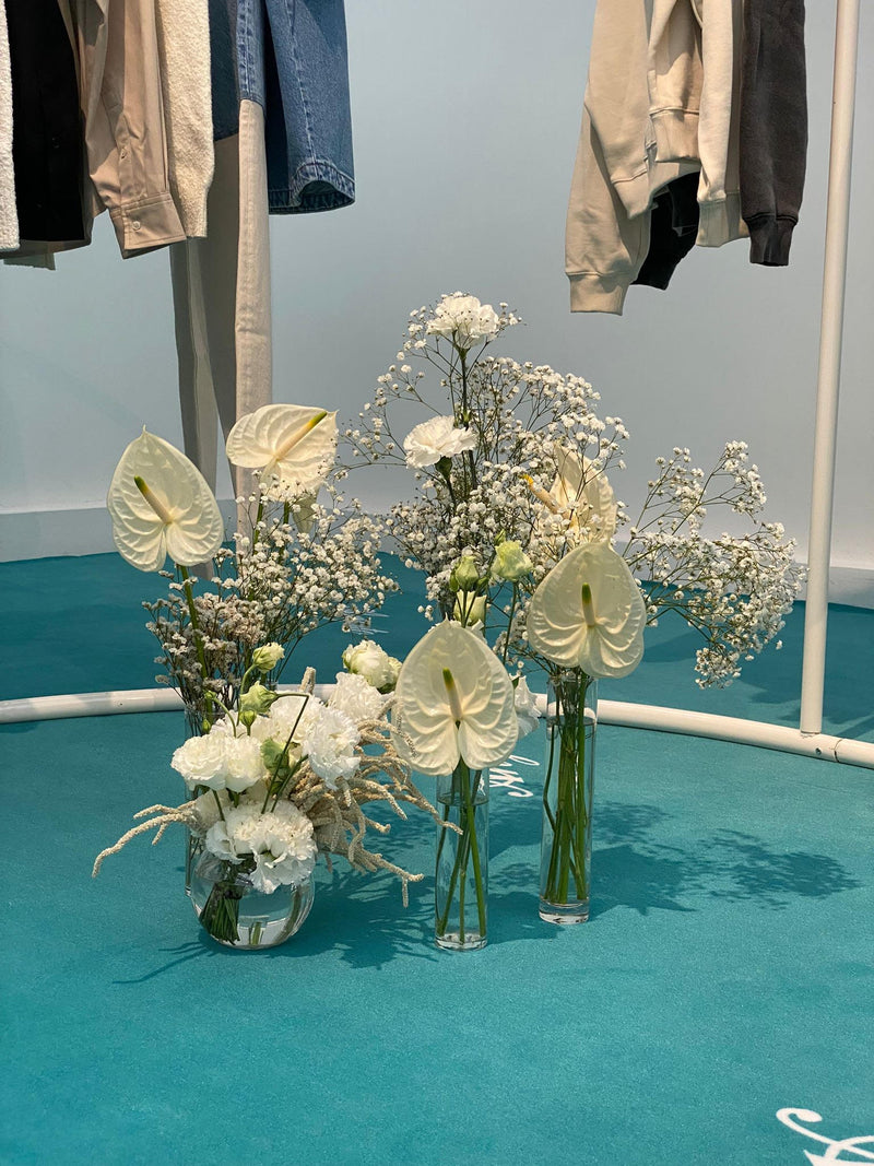 AXEL ARIGATO (JUIN 2023) DEBEAULIEU