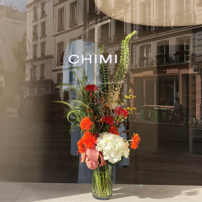 CHIMI (MAI 2023) DEBEAULIEU