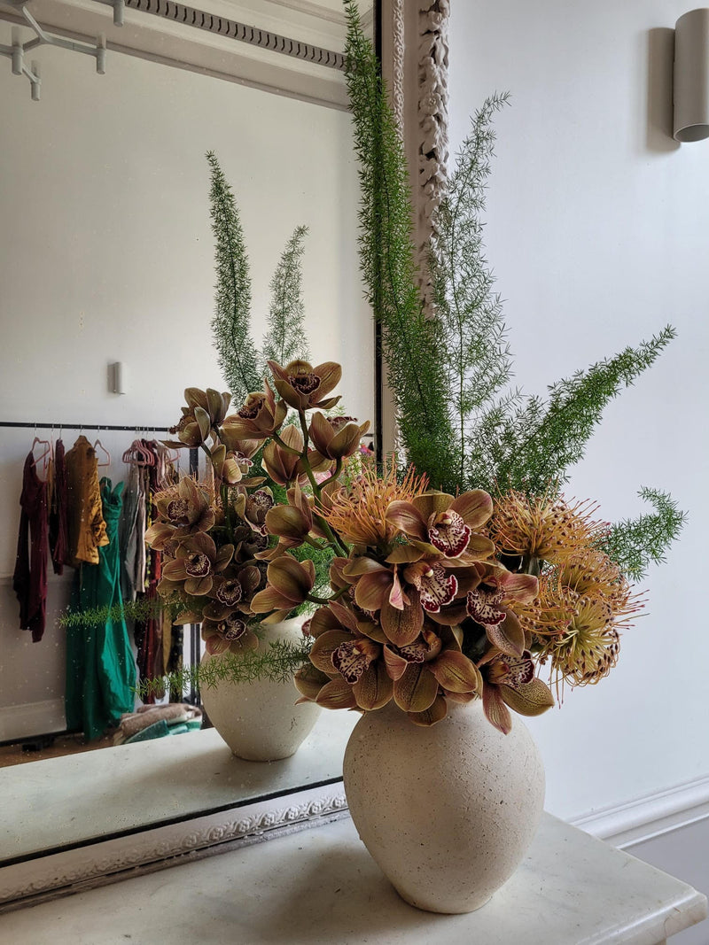 CULT GAIA (MARS 2023) DEBEAULIEU