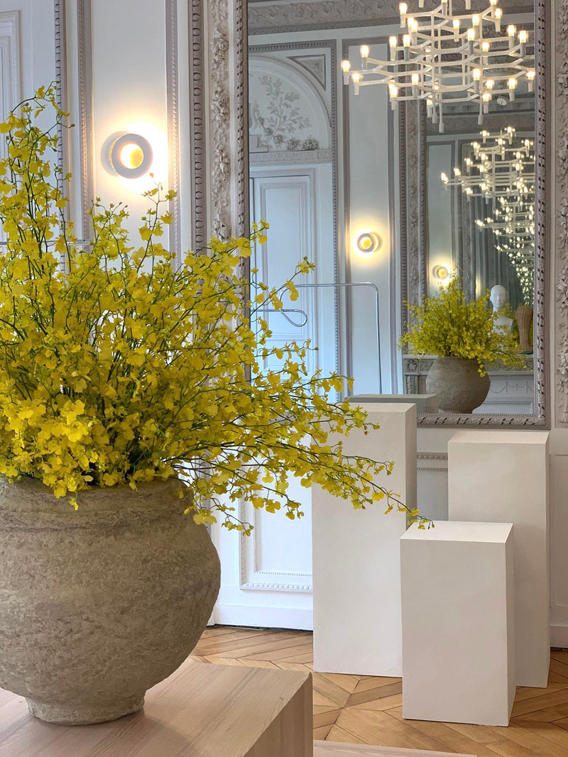 CULT GAIA (JUIN 2023) DEBEAULIEU