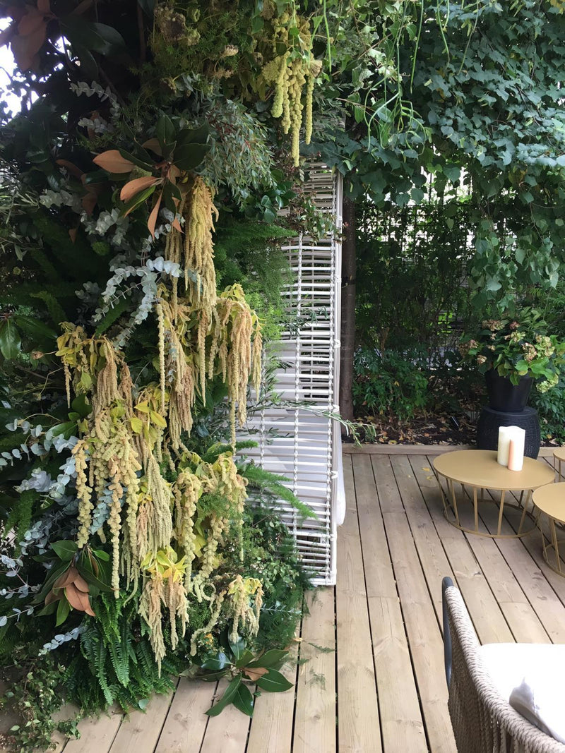 ZIMMERMAN, DINER AU VERT (SEPTEMBRE 19) DEBEAULIEU