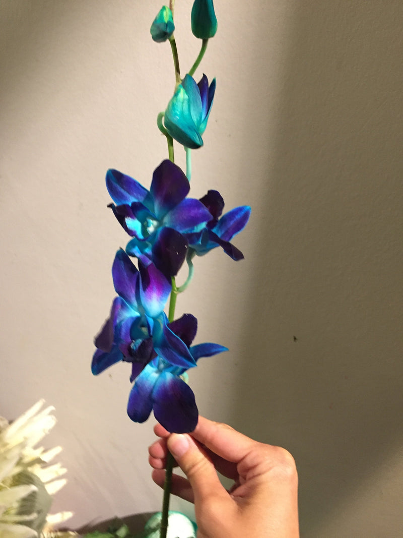 BALENCIAGA, VOIR LA VIE EN BLEU (SEPTEMBRE 19) DEBEAULIEU