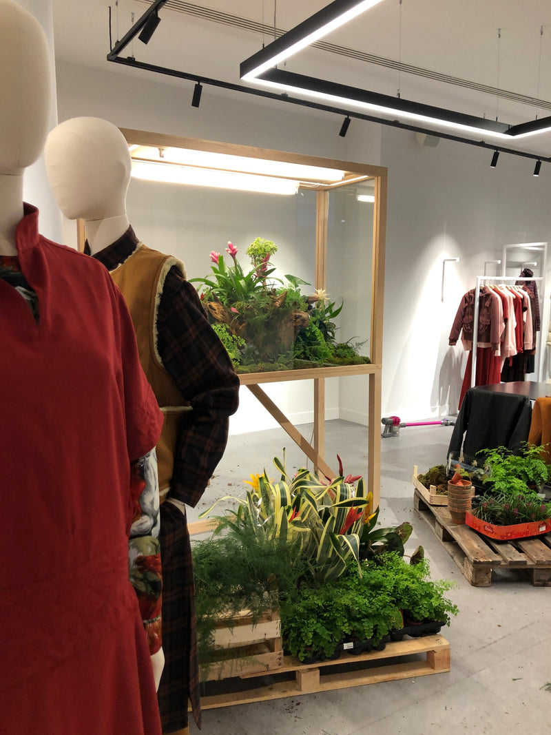 KENZO, TERRARIUM (JANVIER 20) DEBEAULIEU