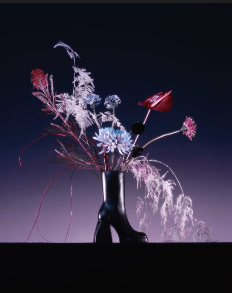 NODALETO, UN VASE QUI NOUS CHAUSSE BIEN (FEVRIER 20) DEBEAULIEU